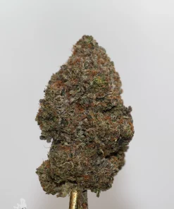 Black Series - Mike Tyson OG (LSO) - Image 2