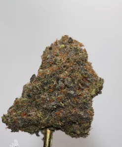 Black Series - Mike Tyson OG (LSO) - Image 4