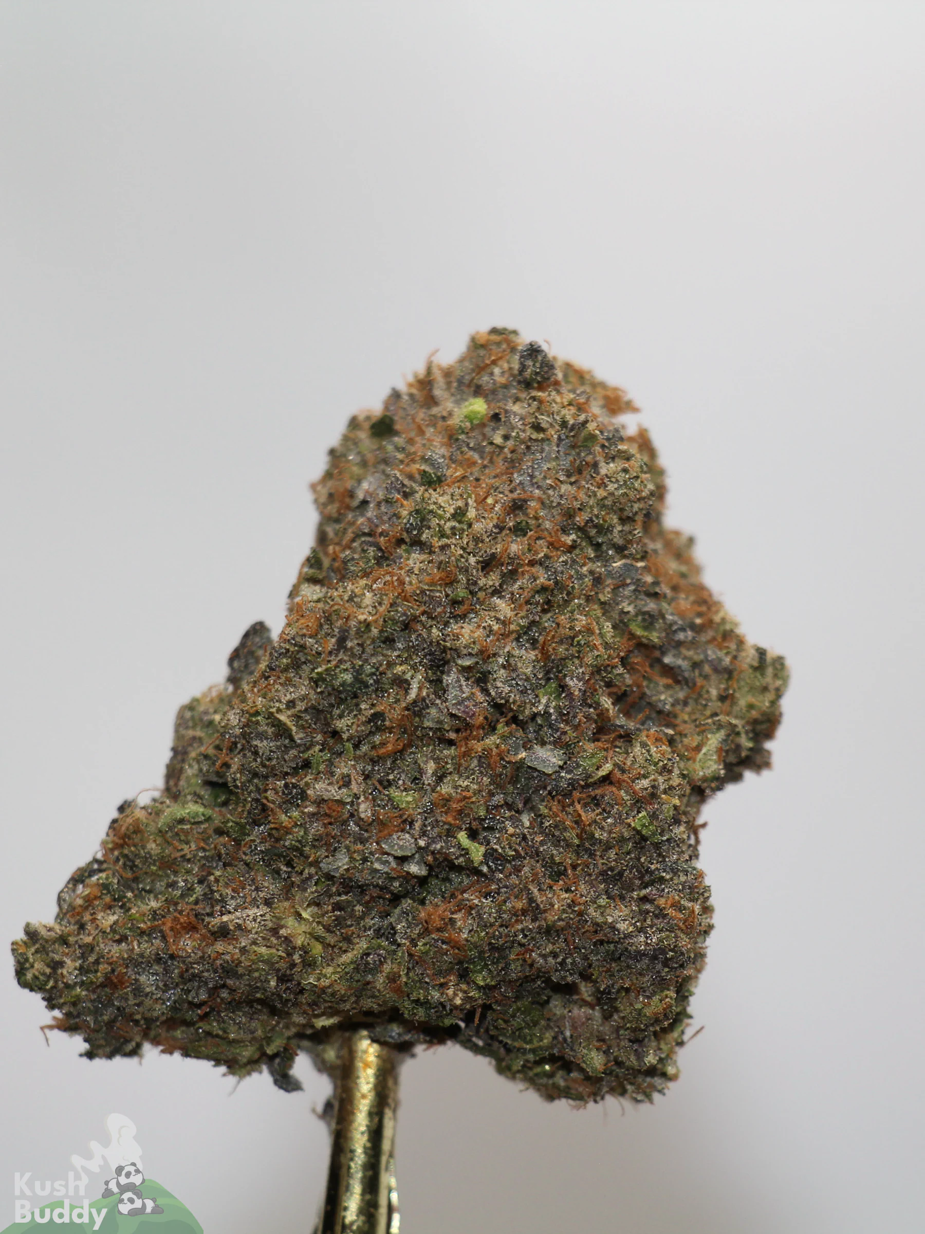 Black Series - Mike Tyson OG (LSO) - Image 4
