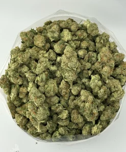 Group of mostly small Pina Colada buds in an open clear bag.