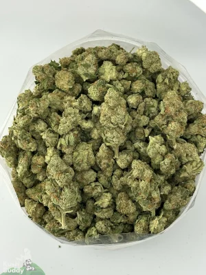 Group of mostly small Pina Colada buds in an open clear bag.