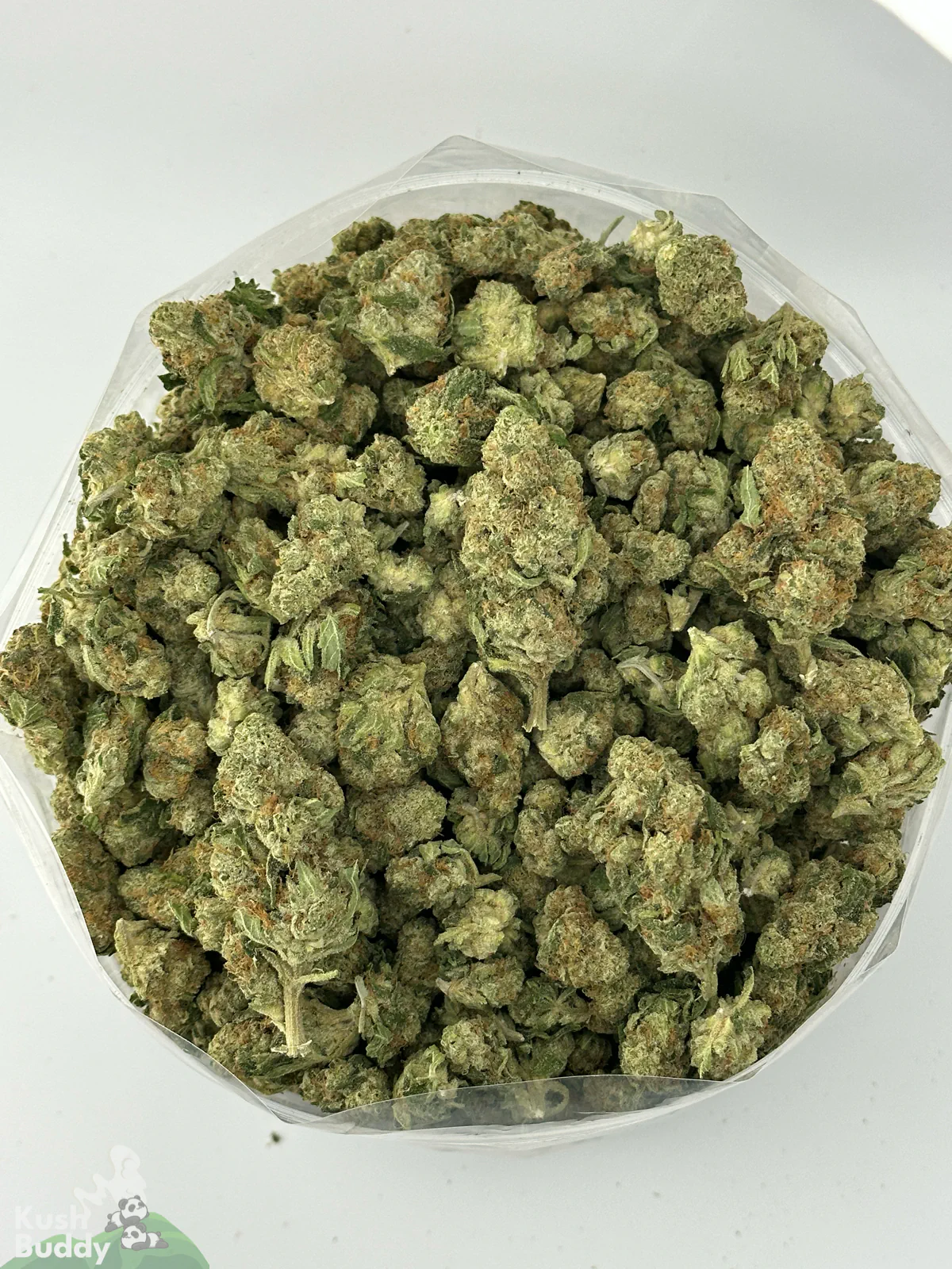 Group of mostly small Pina Colada buds in an open clear bag.