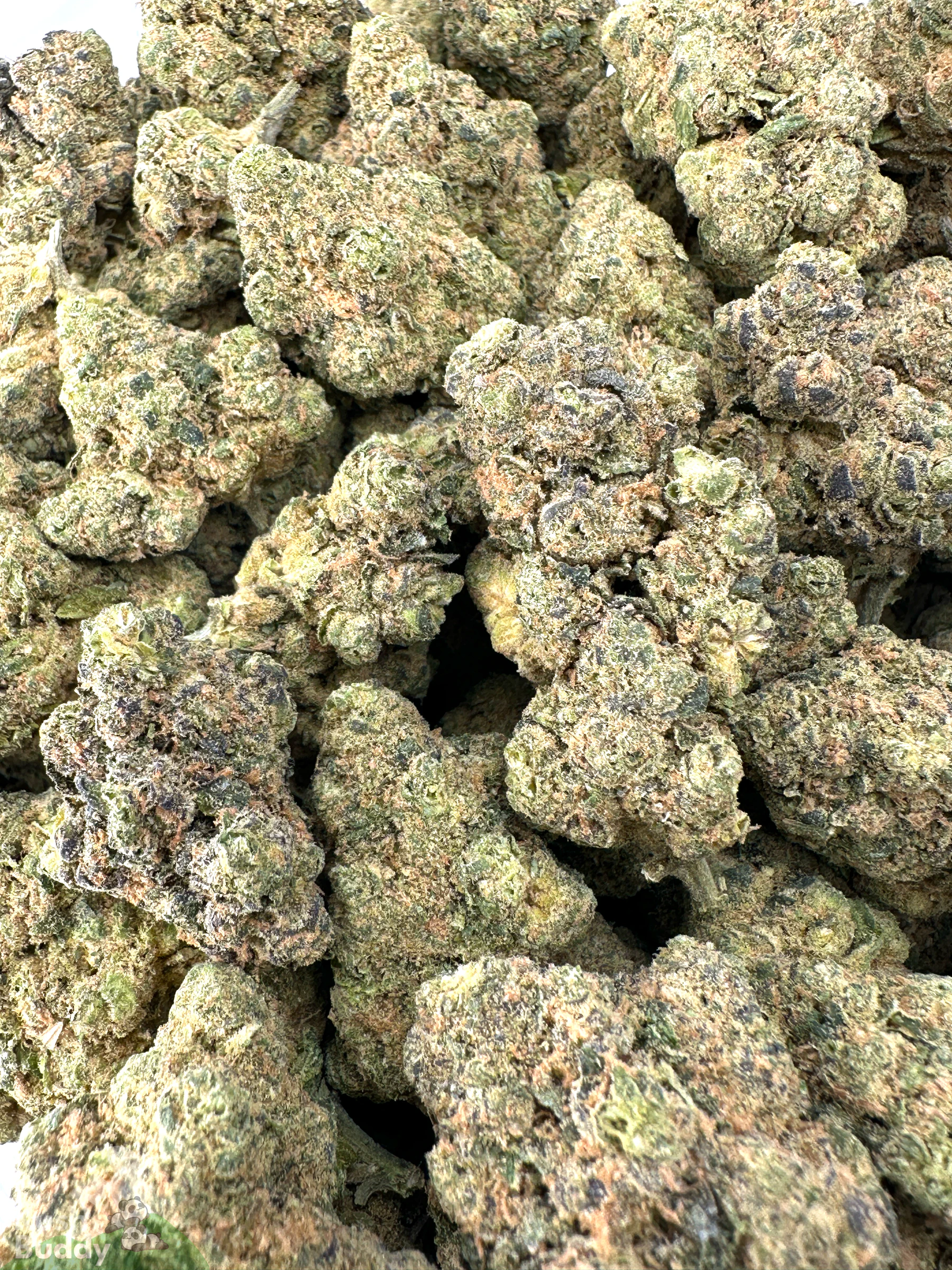(AAAA) Pineapple Express - Image 6