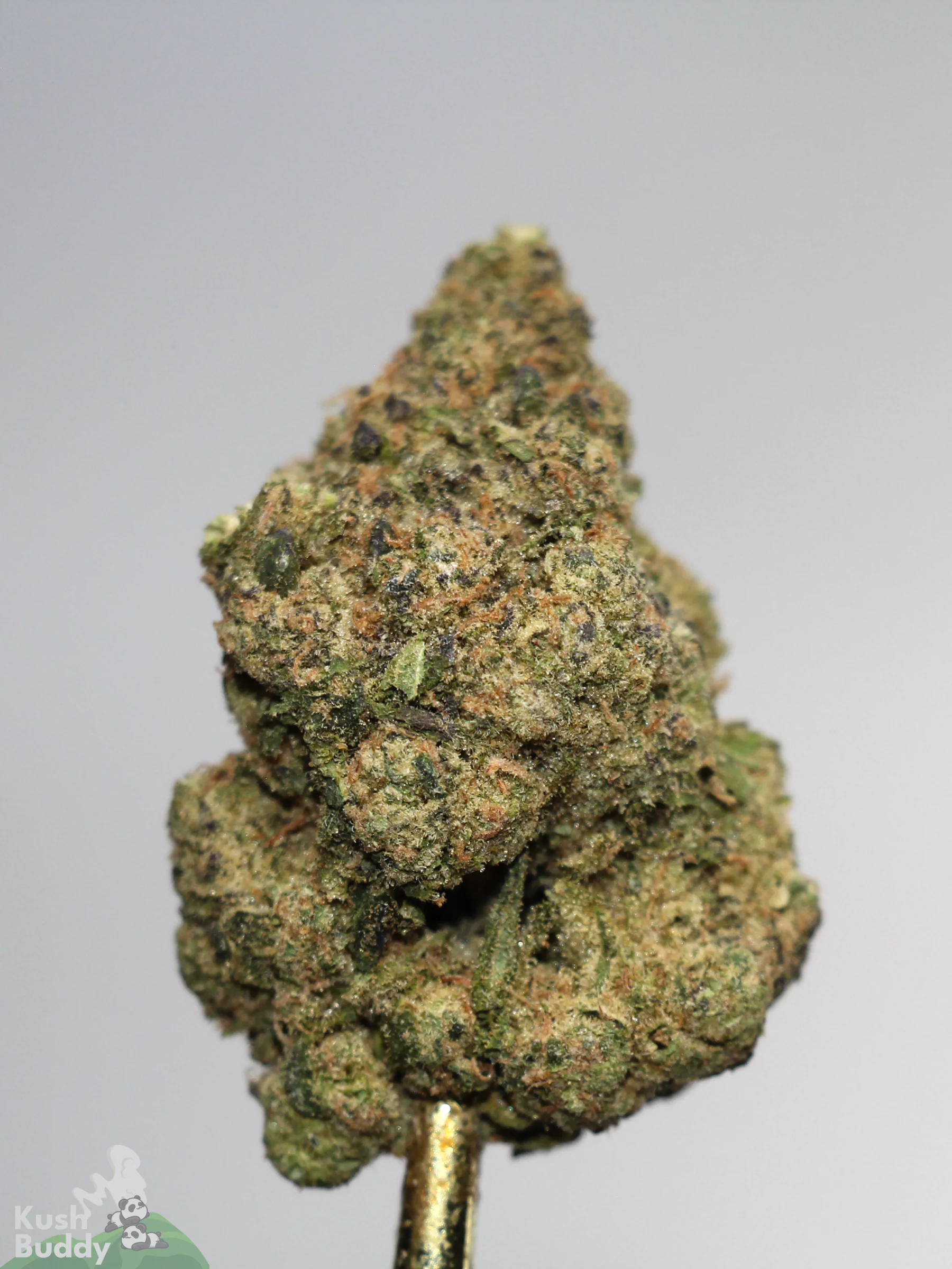 (AAAA) Pineapple Express
