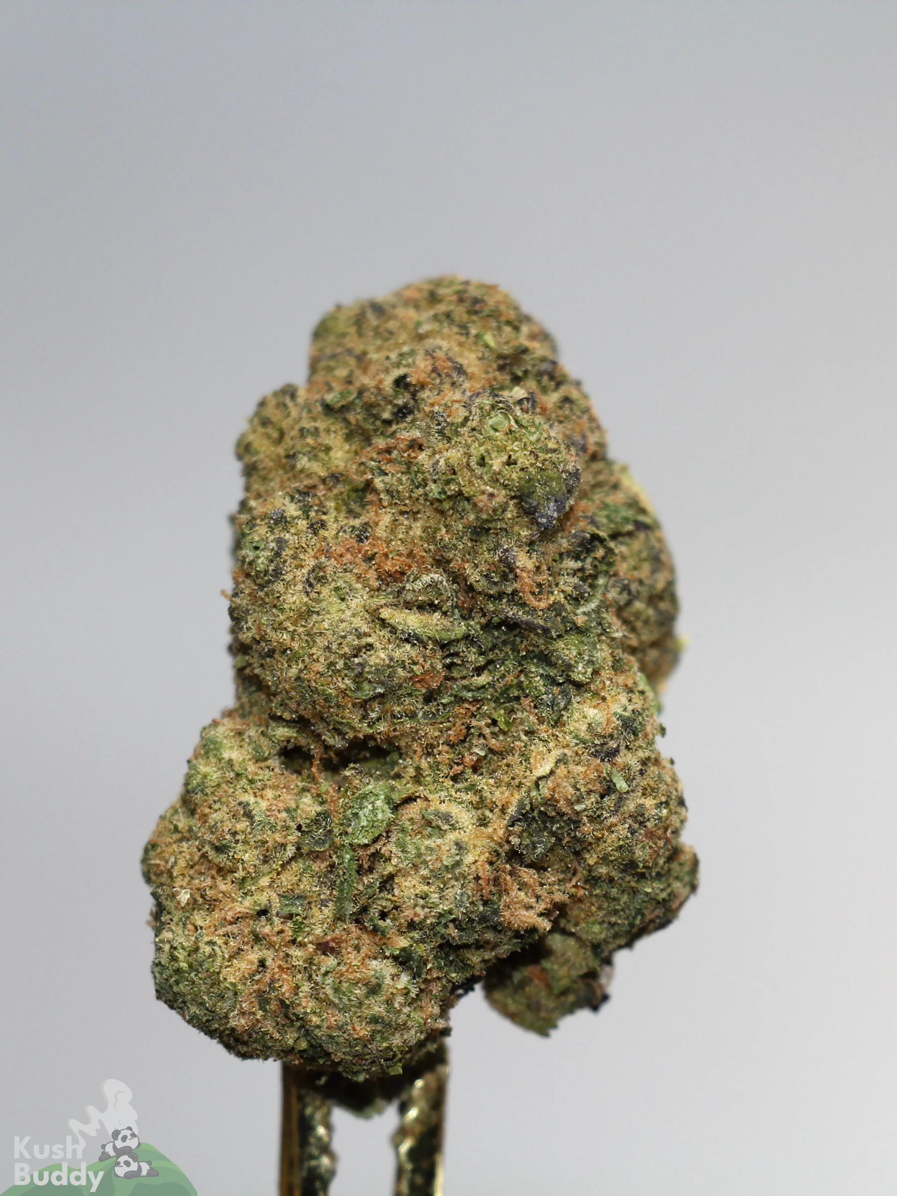 (AAAA) Pineapple Express - Image 2