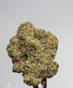 (AAAA) Pineapple Express - Image 3