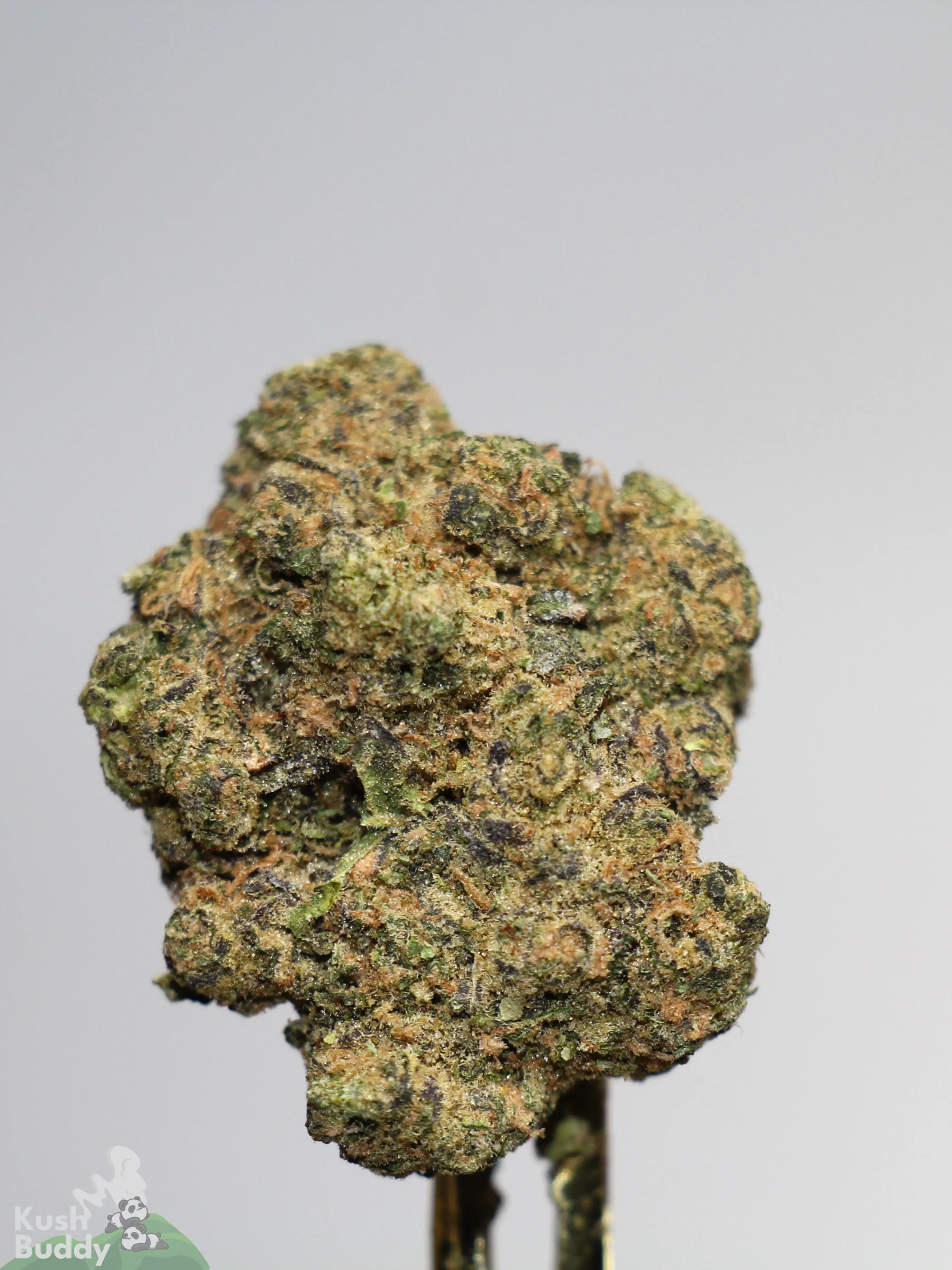 (AAAA) Pineapple Express - Image 3