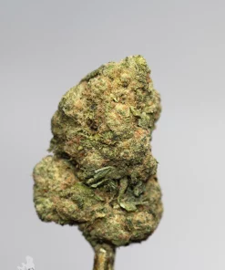 (AAAA) Pineapple Express - Image 4