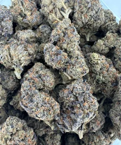 Pink Kush Oct 2026 1