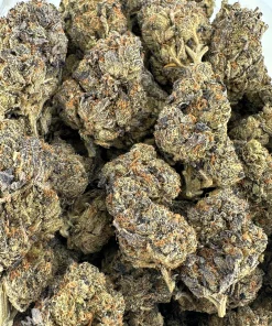 Pink Kush Oct 2026 2