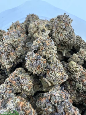 Pink Kush Oct 2026 3