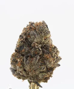 Pink Kush Oct 2026 5