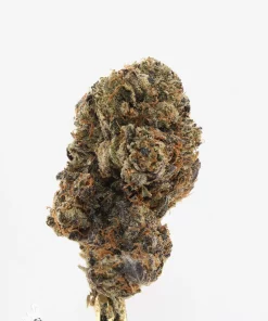 Pink Kush Oct 2026 6