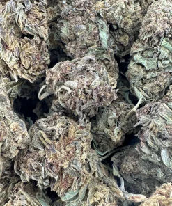 Processing Buds Oct 2026 1
