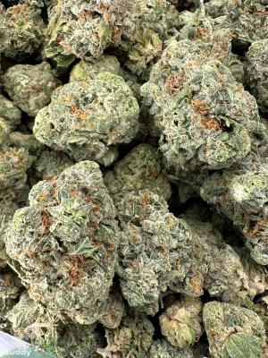 Ripper Glitter small buds photographed together in an open bag