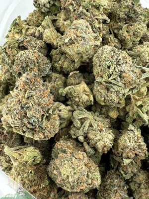 Russian Doll small buds photographed together in an open bag