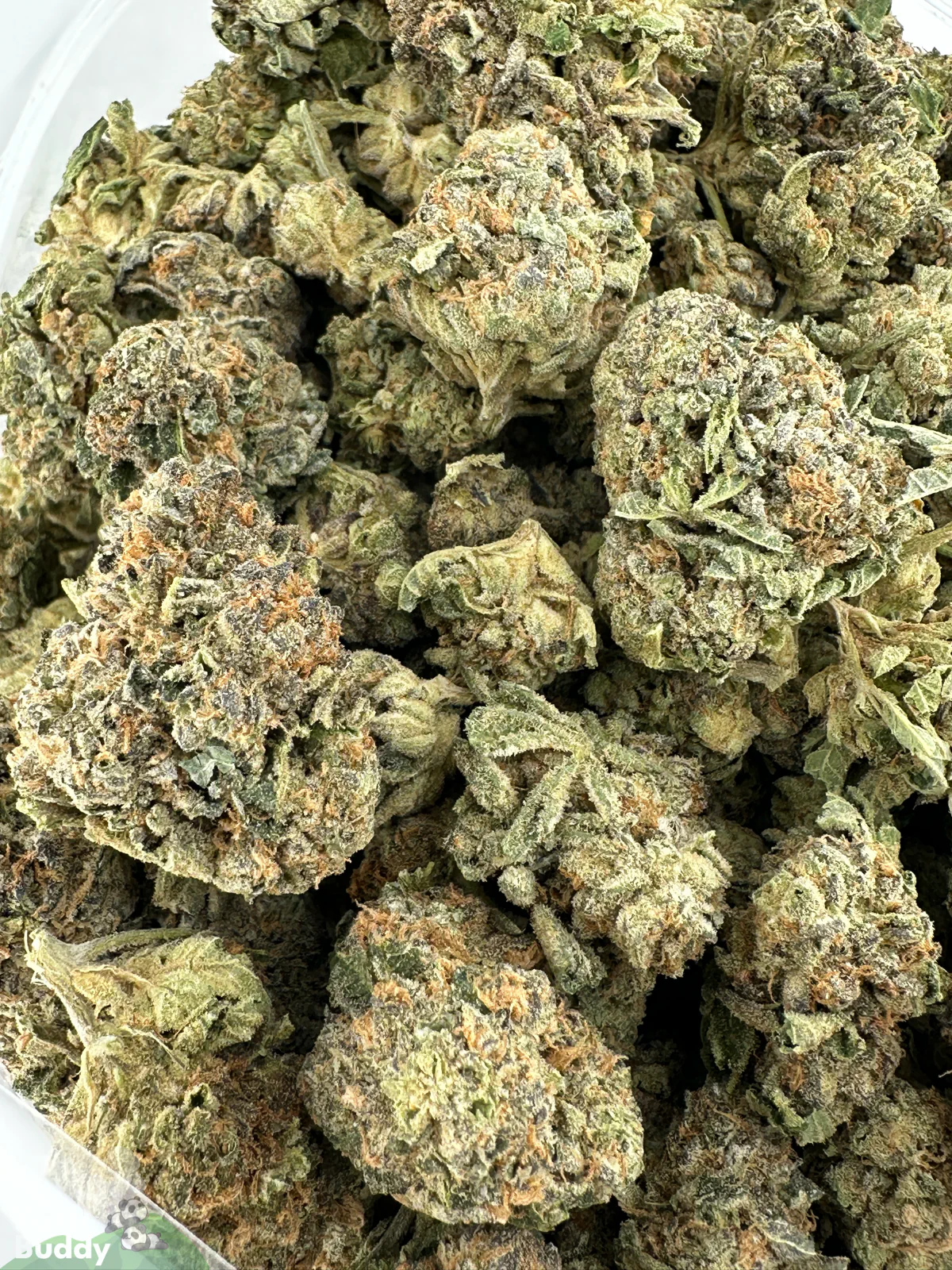 Russian Doll small buds photographed together in an open bag