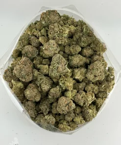 Overhead view of Russian Doll flower showing the mix of bud sizes
