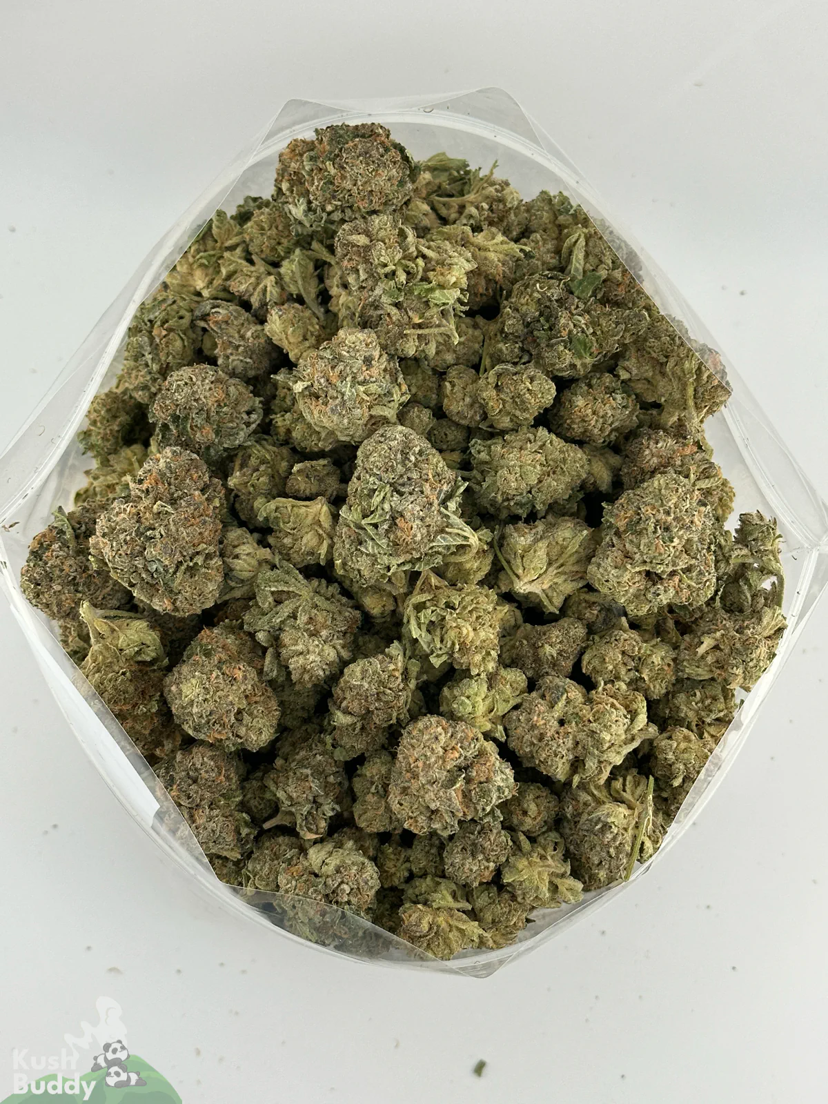 Overhead view of Russian Doll flower showing the mix of bud sizes