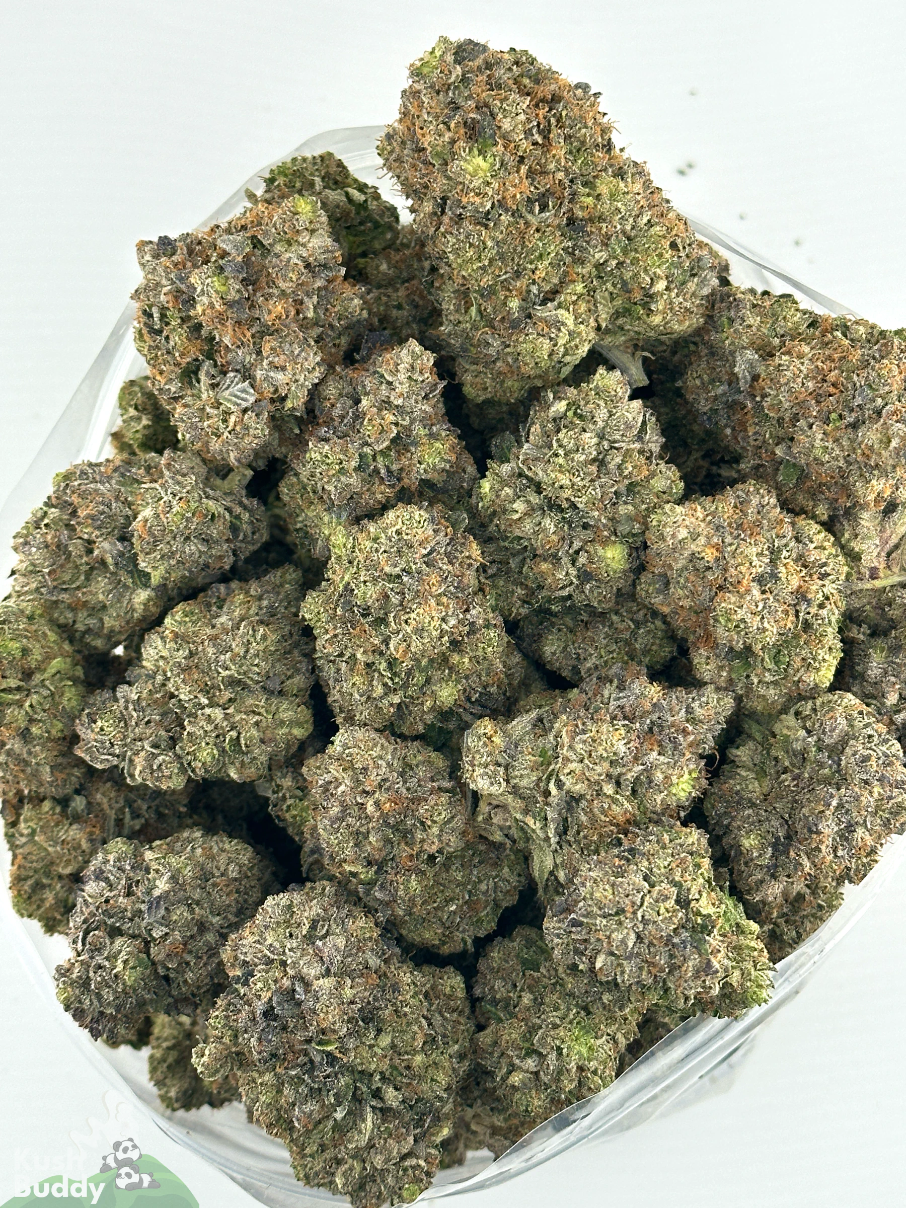 Black Series - Snoop's Gas Mask #4 (LSO) - Image 6