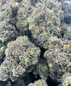 Black Series - Snoop's Gas Mask #4 (LSO) - Image 8