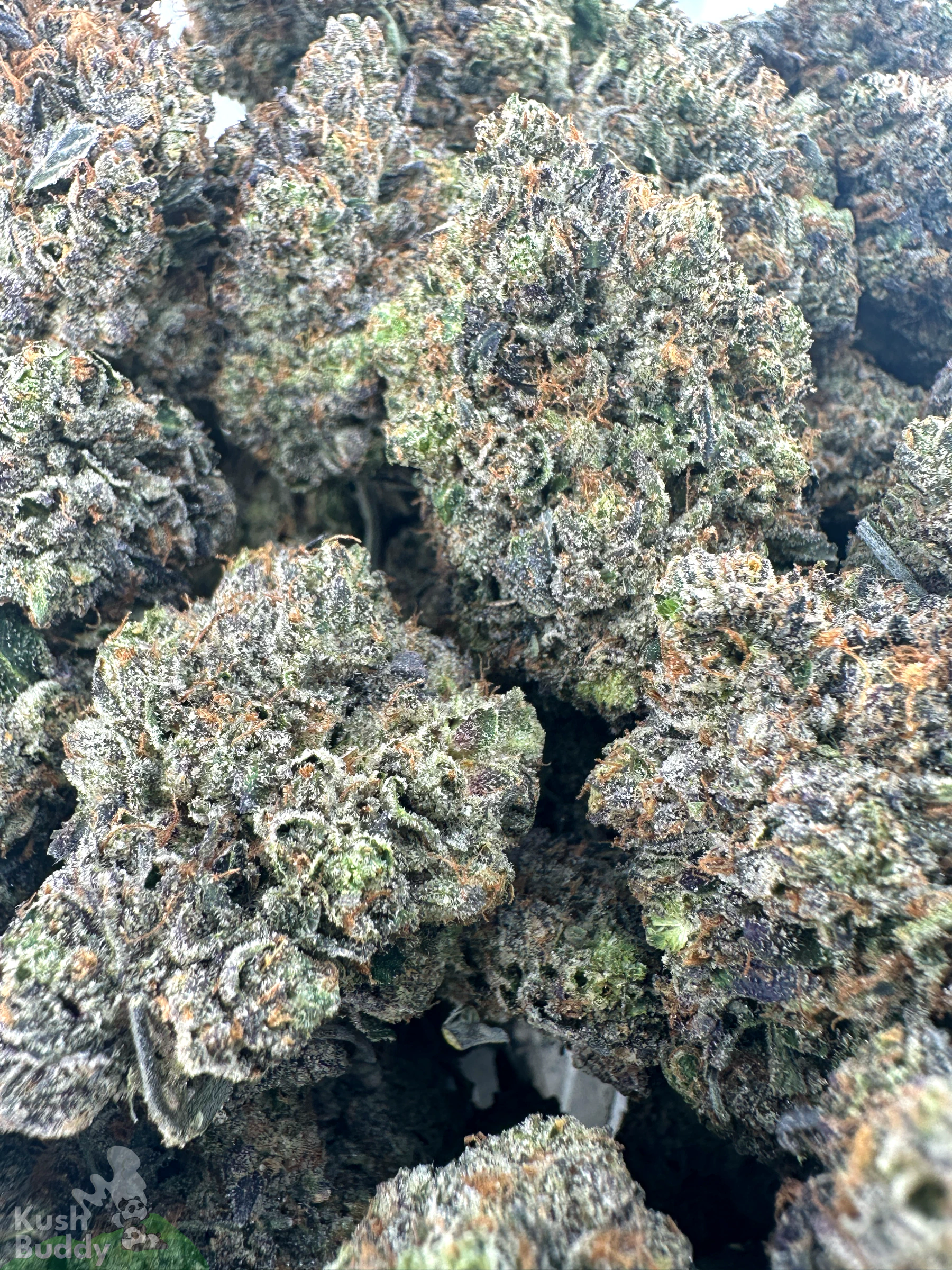 Black Series - Snoop's Gas Mask #4 (LSO) - Image 8