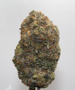 Black Series - Snoop's Gas Mask #4 (LSO)