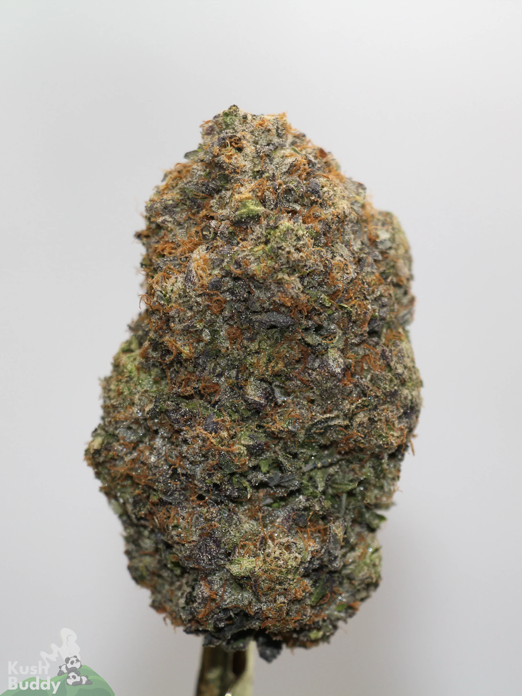 Black Series - Snoop's Gas Mask #4 (LSO)