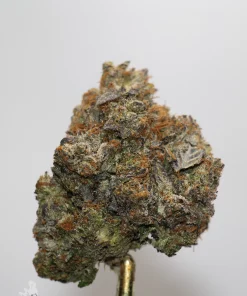 Black Series - Snoop's Gas Mask #4 (LSO) - Image 2