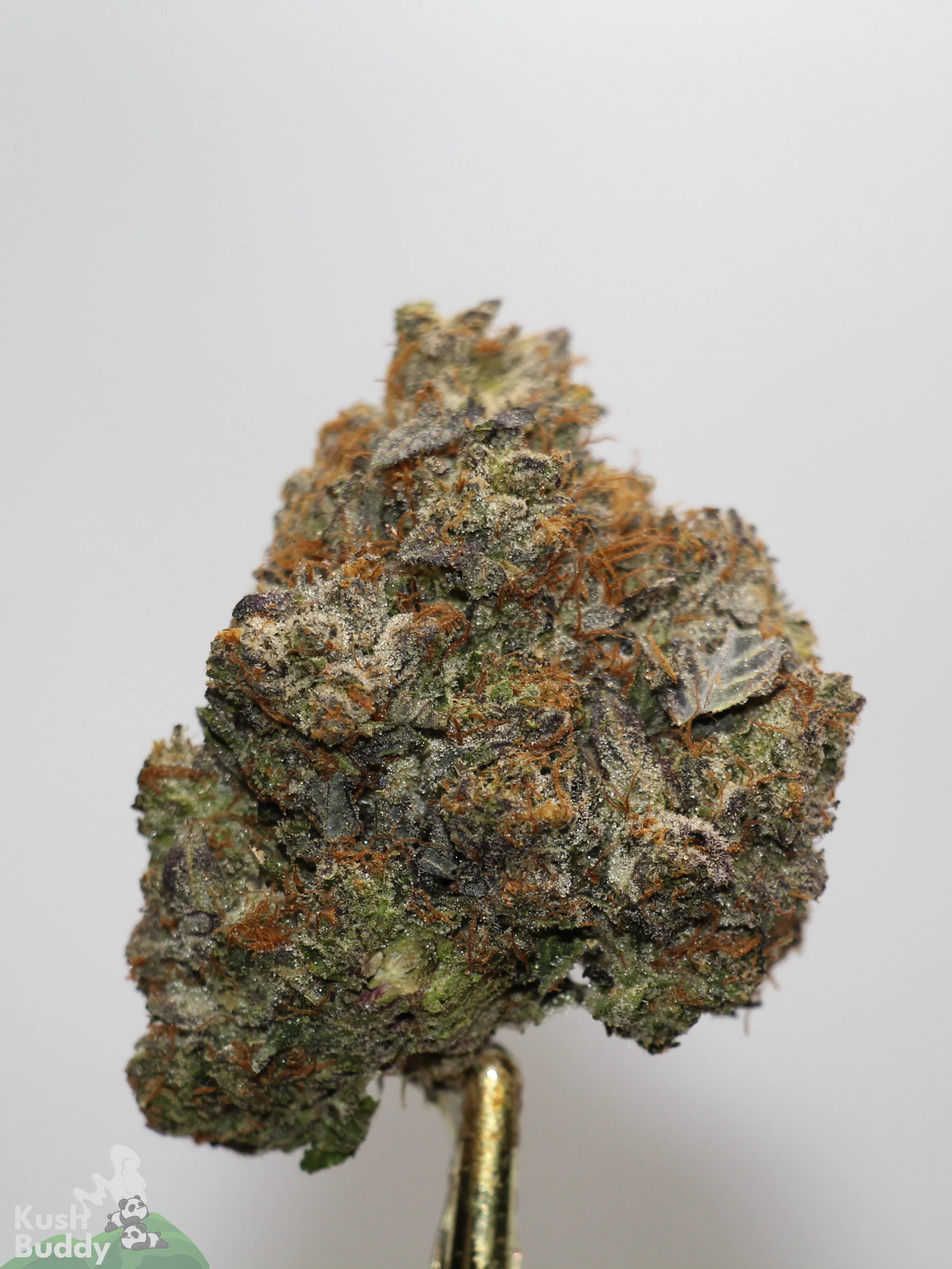 Black Series - Snoop's Gas Mask #4 (LSO) - Image 2