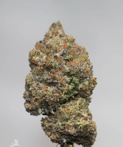 Black Series - Snoop's Gas Mask #4 (LSO) - Image 3