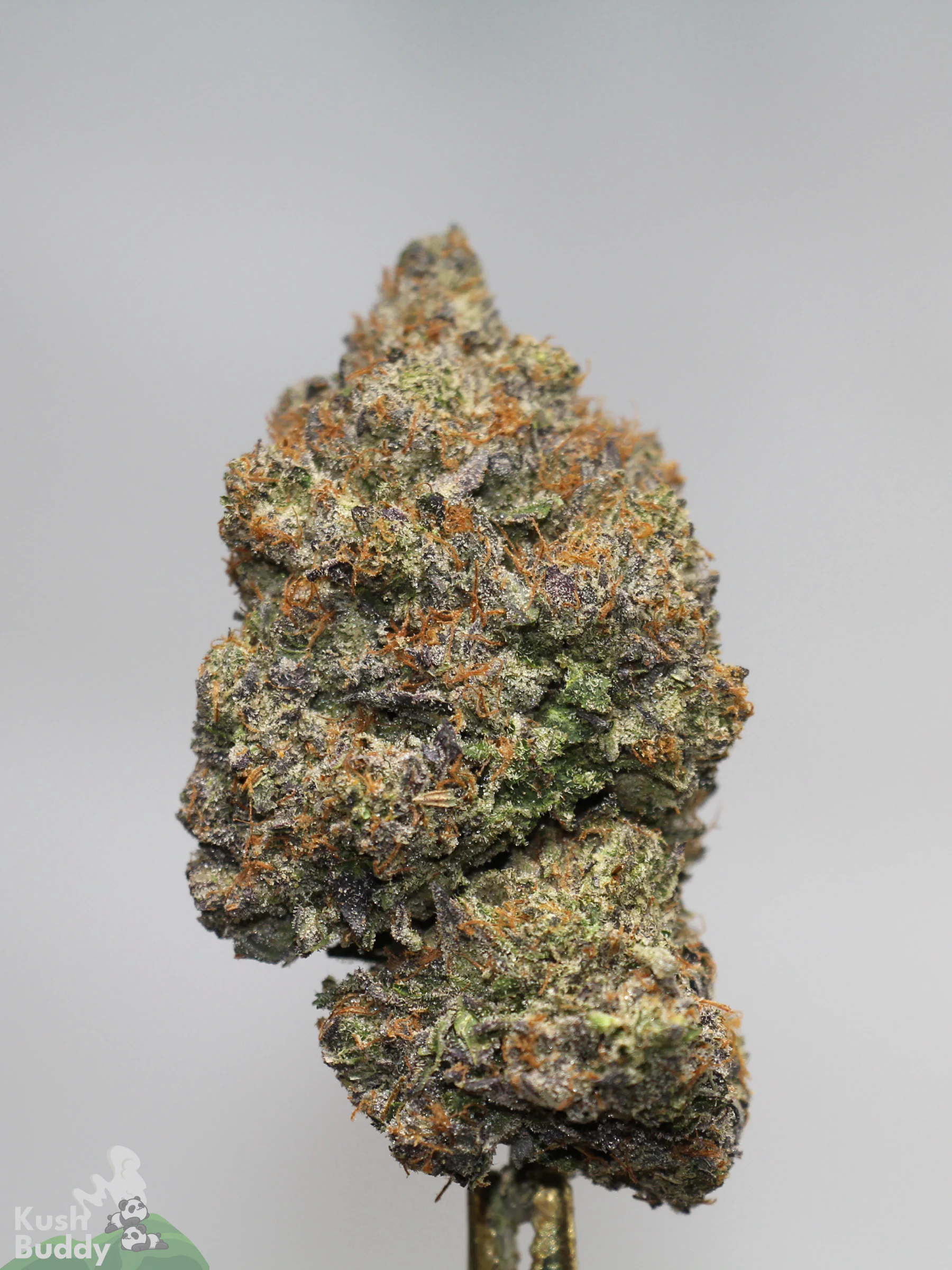 Black Series - Snoop's Gas Mask #4 (LSO) - Image 3