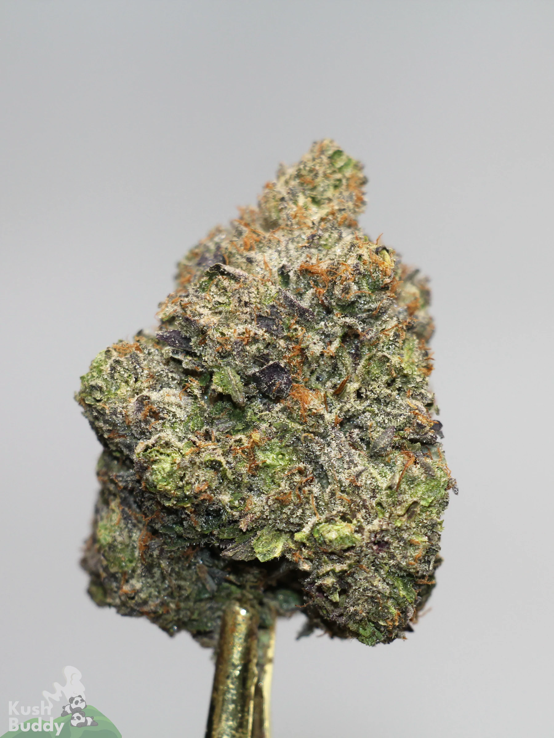 Black Series - Snoop's Gas Mask #4 (LSO) - Image 4