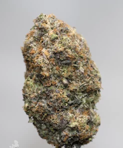 Black Series - Snoop's Gas Mask #4 (LSO) - Image 5