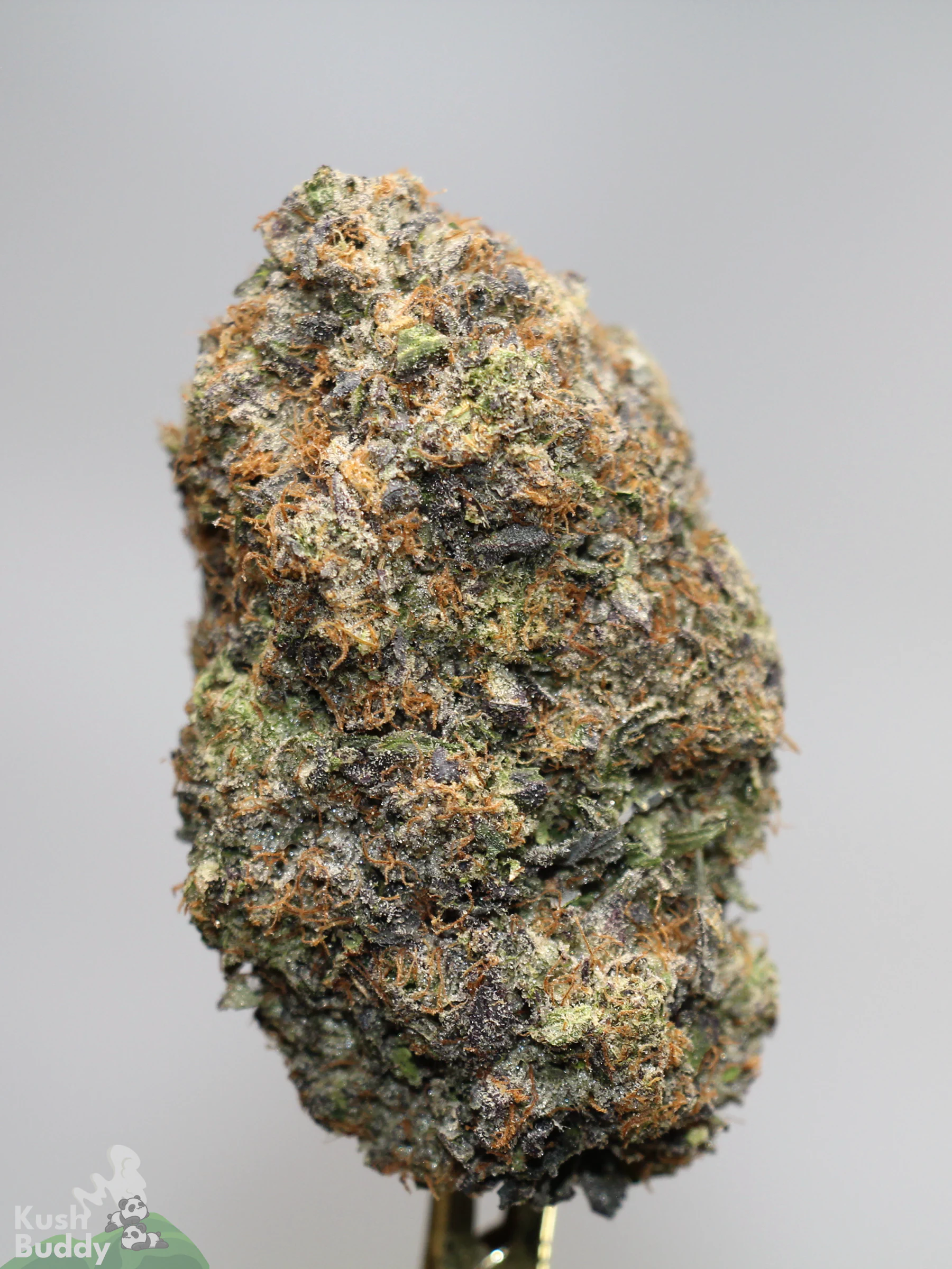 Black Series - Snoop's Gas Mask #4 (LSO) - Image 5