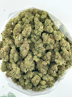 Sour Cherry Punch flower shown as a group of buds in a bowl
