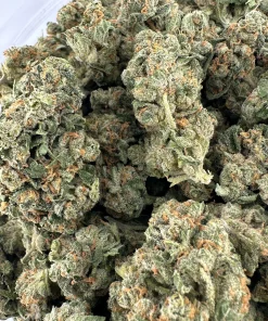 Sour Congo small buds photographed together in an open bag