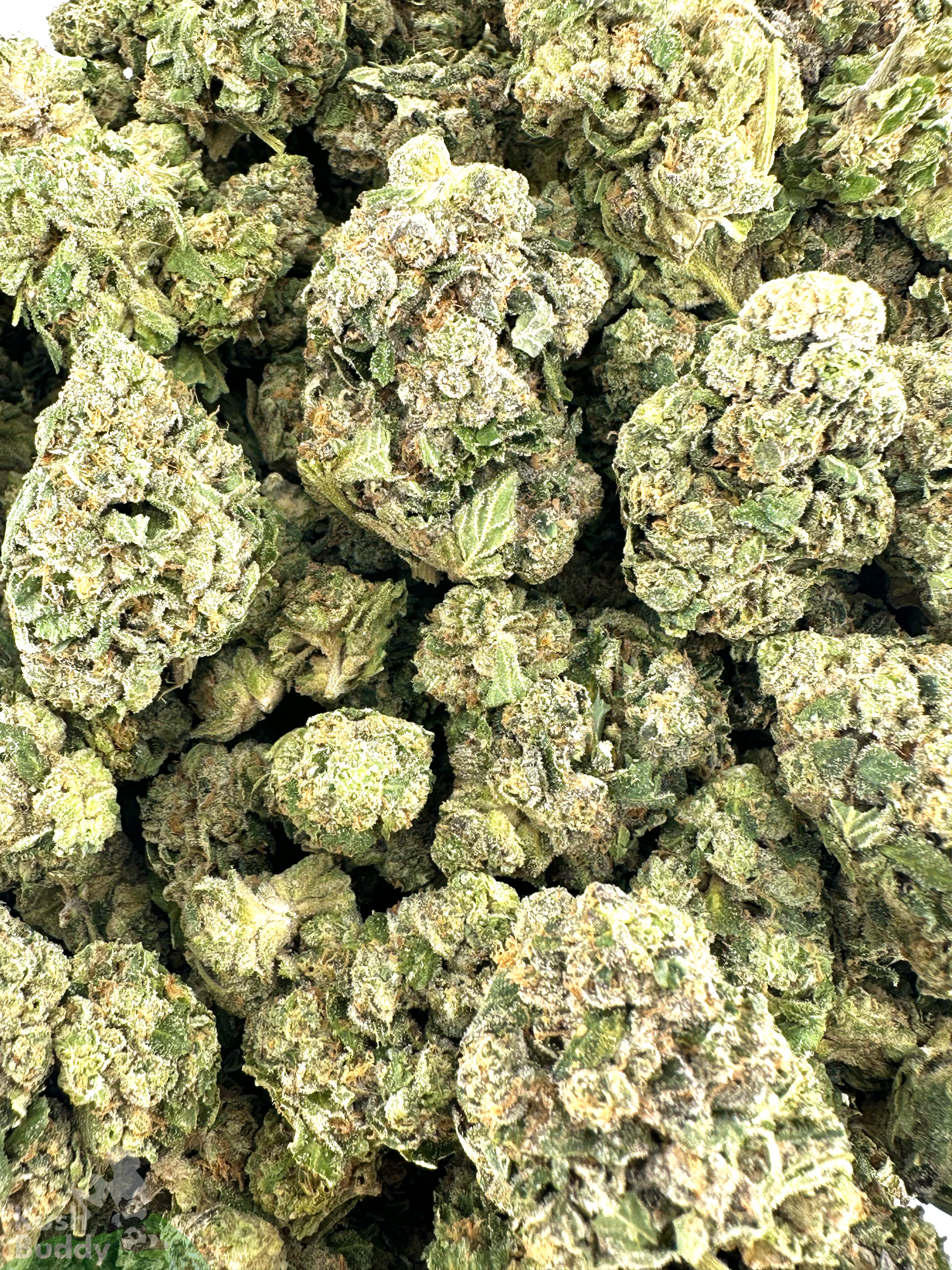 (AAA - Bulk) Sour Diesel - Image 2