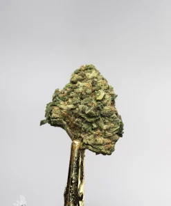 (AAA) Sour Diesel