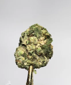 (AAA - Bulk) Sour Diesel - Image 5