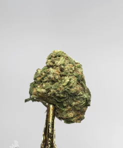 (AAA - Bulk) Sour Diesel - Image 6