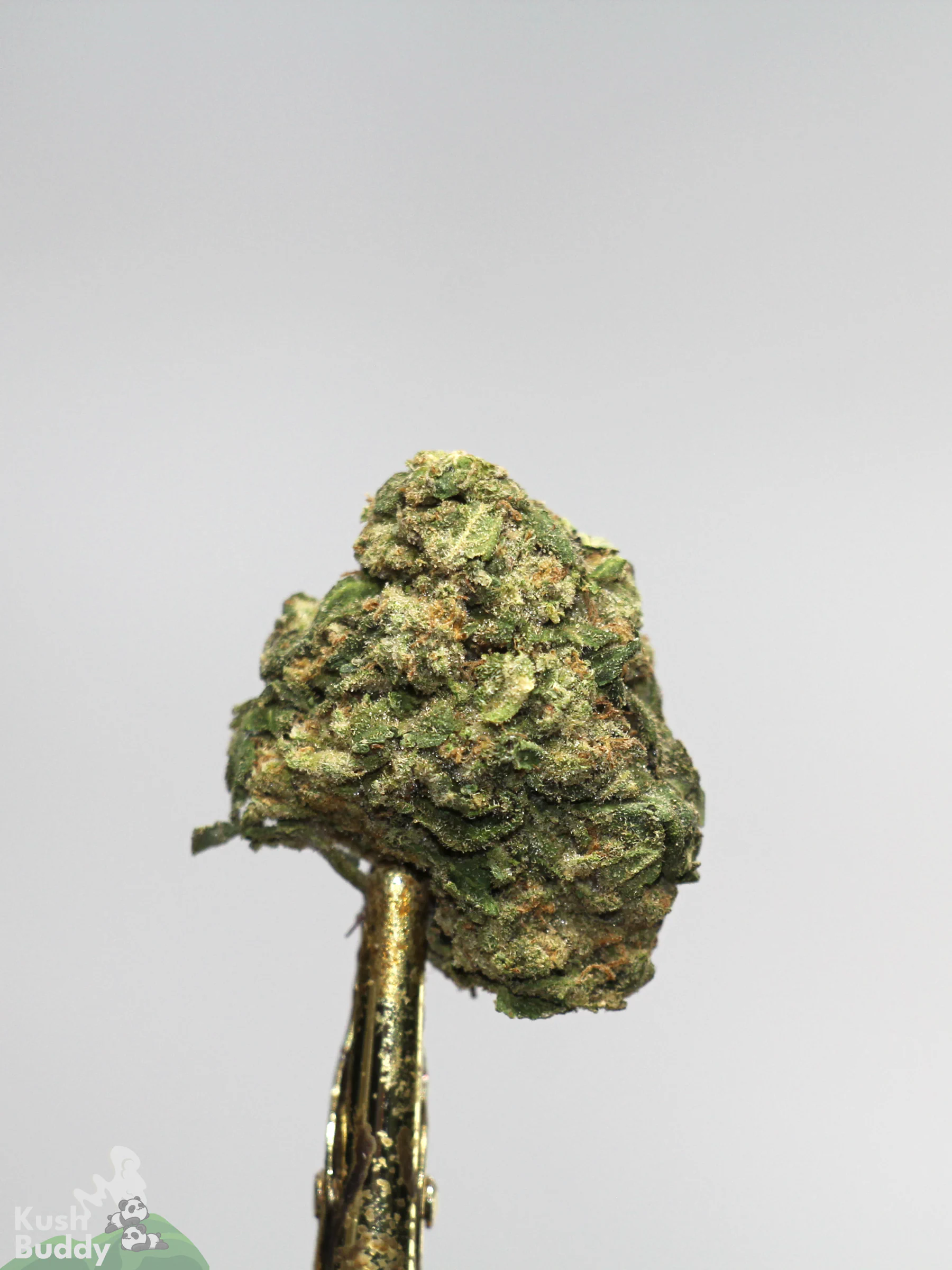 (AAA - Bulk) Sour Diesel - Image 6