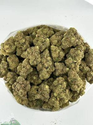 Black Series - Bulk - Strawberry Cough