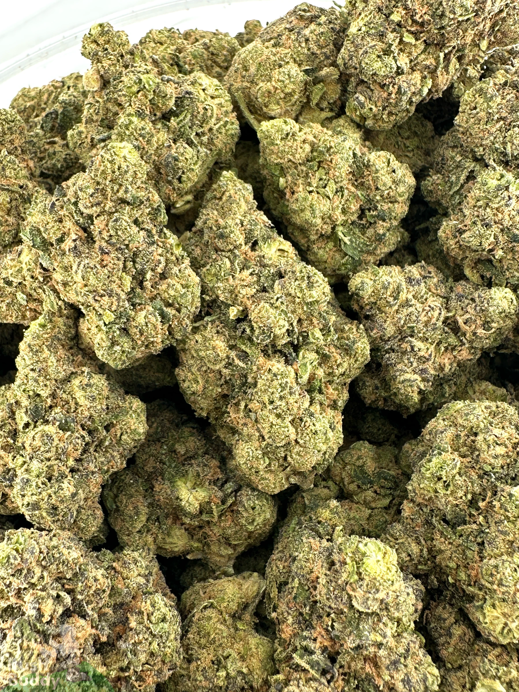 Black Series - Strawberry Cough - Image 5