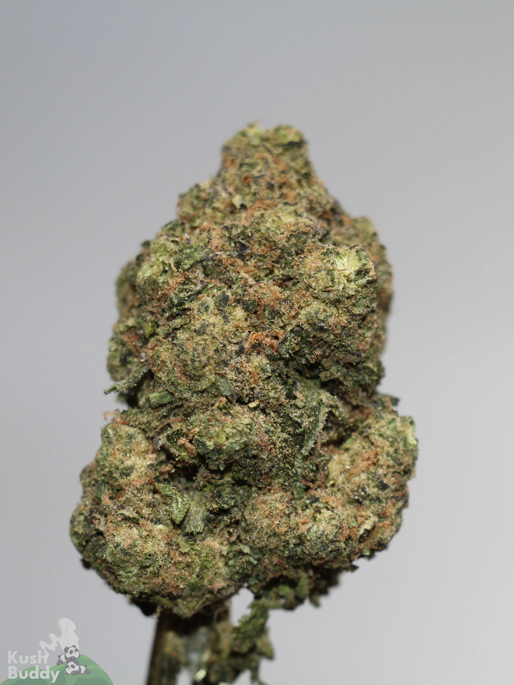 Black Series - Strawberry Cough