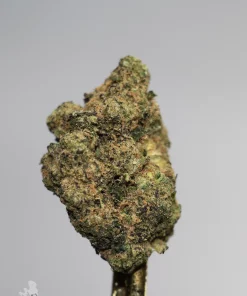 Black Series - Strawberry Cough - Image 2