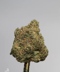 Black Series - Strawberry Cough - Image 3
