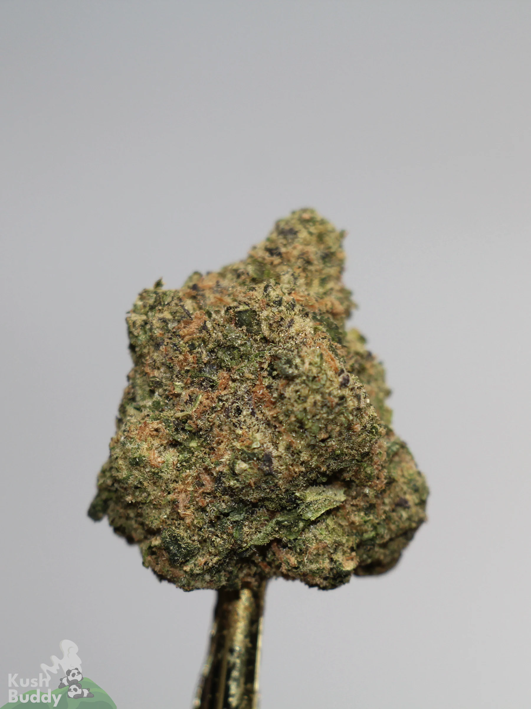 Black Series - Strawberry Cough - Image 3