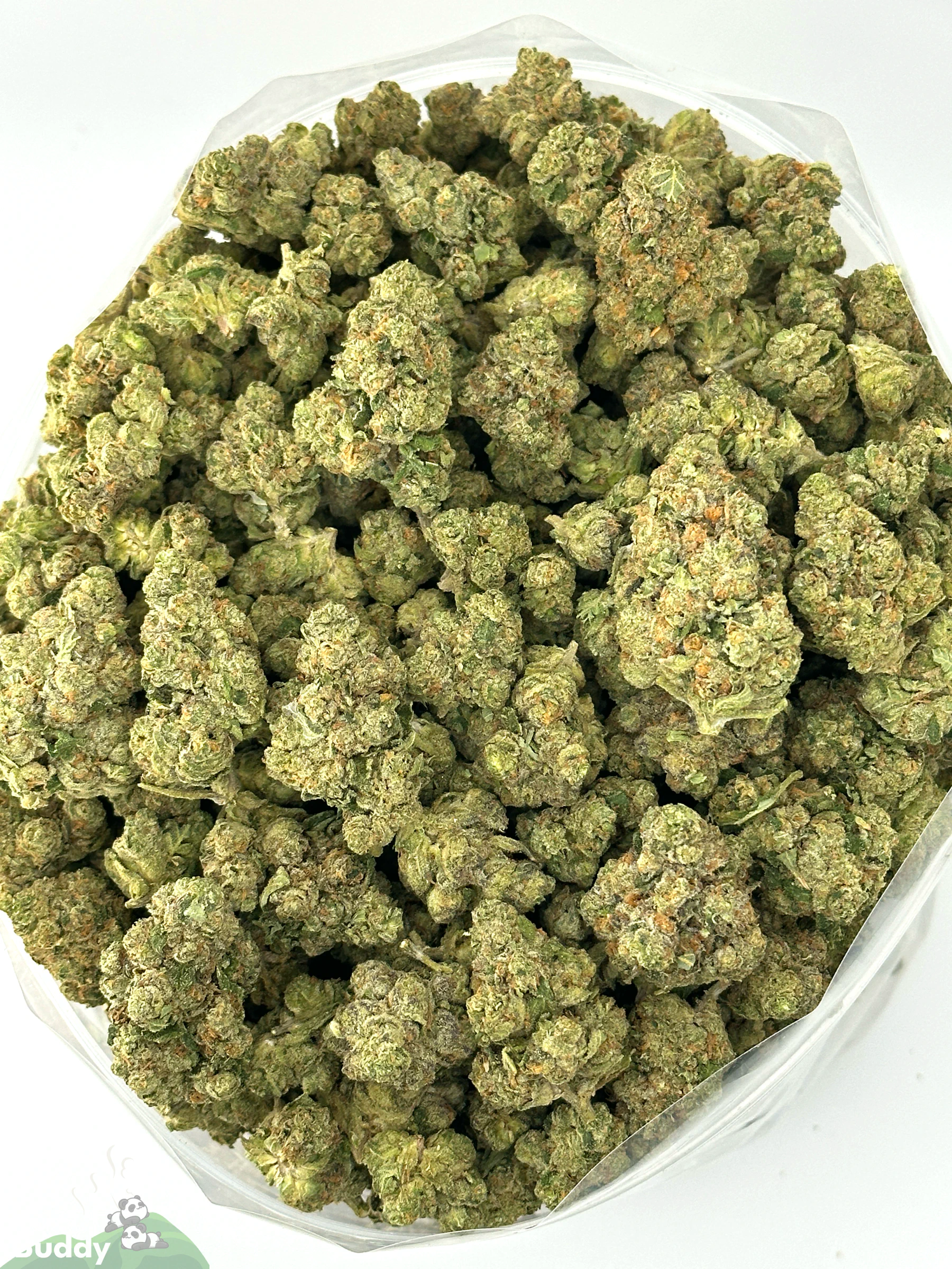 (AAA+) Very Berry Haze - Image 5