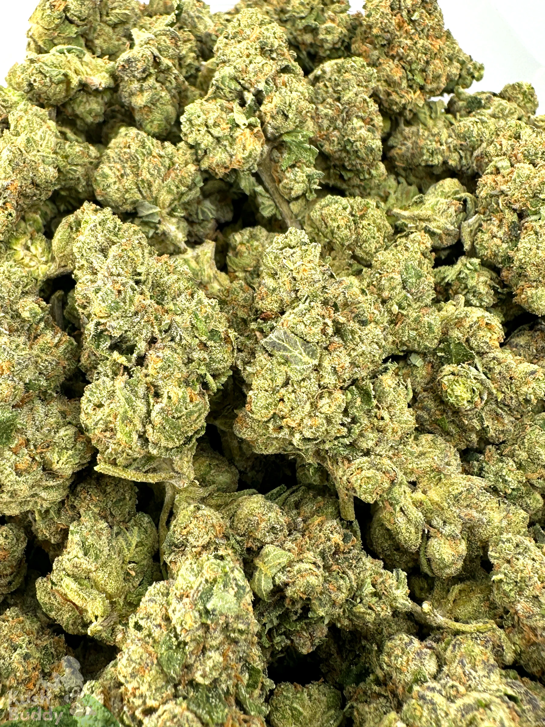(AAA+) Very Berry Haze - Image 6